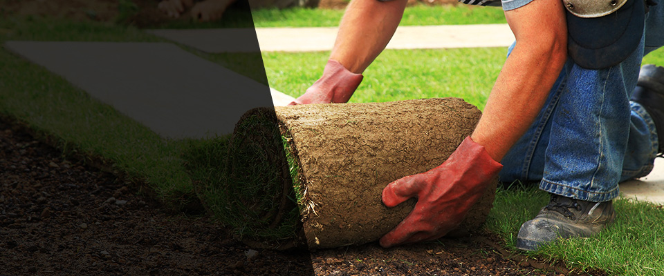 Sneedville Landscapers